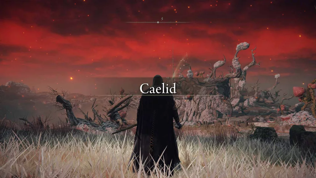 Screenshot of the Caelid region in Elden Ring.