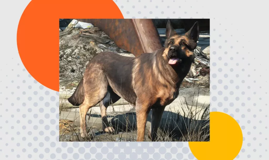 Screenshot from Fallout 4 depicting Dogmeat, one of the recruitable companions.