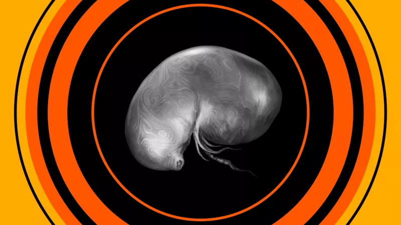 Where To Find Every Larval Tear in Elden Ring.