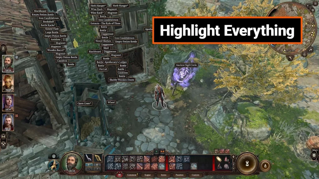 A screenshot of the Highlight Everything mod.