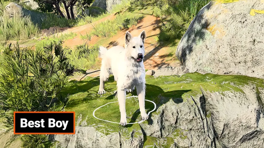 A screenshot of the Best Boy mod.